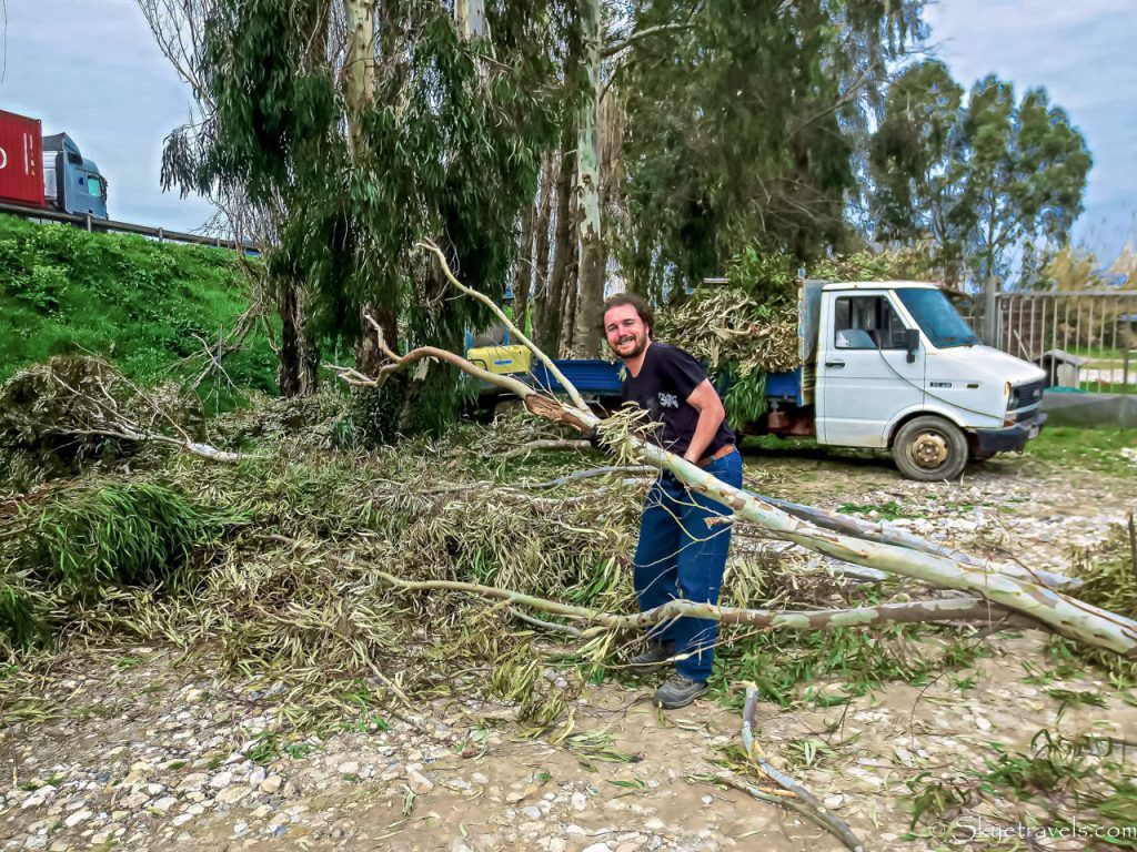 Clearing the Trees for Workaway