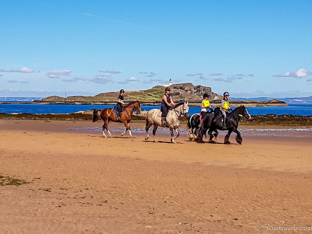 Horses on Yellowcraig Beach